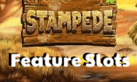 Stampede Feature slots