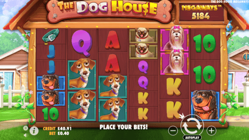 the dog house megaways screenshot