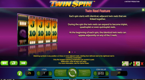 twin spin bonus feature