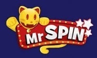 Mr Spin logo