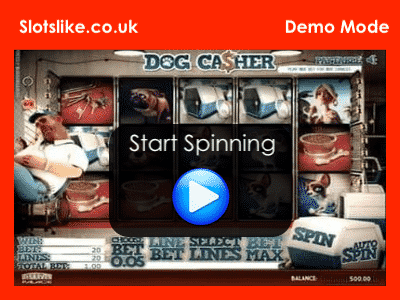 dog casher demo