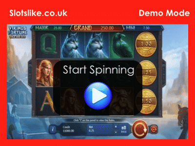 Vikings Fortune Hold And Win Demo