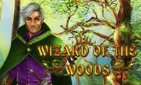 Wizard Of The Woods by 2By2 Gaming