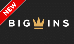Big Wins logo