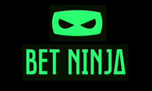 Bet Ninja logo
