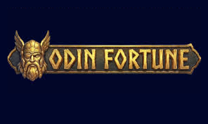 Odin Fortune logo