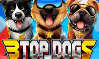 3 Top Dogs Slot Review 2026: RTP, Max Win & Similar Slots