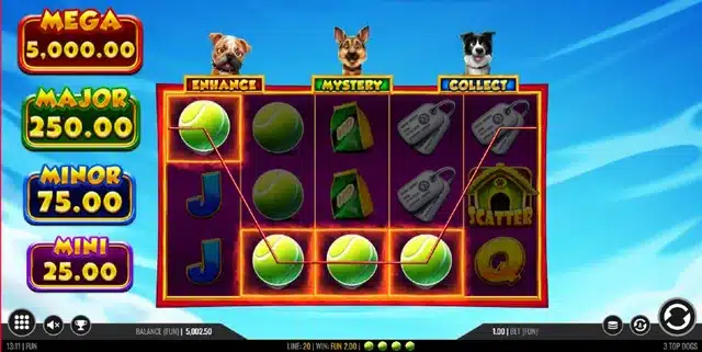 3 Top Dogs slot gameplay screenshot