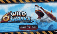 6 Wild Sharks slot thumbnail