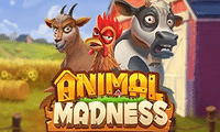 Animal Madness slot game