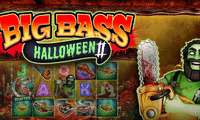 Slots Like Big Bass Halloween 2: The Level System Up to 58 Free Spins