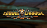 Slots Like Canine Carnage: A Splitter Skull Turning 243 Ways into 248,832
