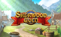 Slots Like Sherwood Gold: The Shoot the Targets Bonus Explained