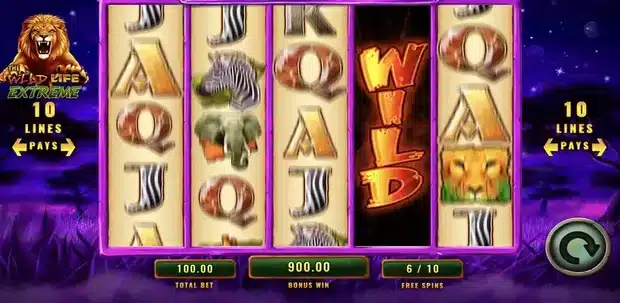 The Wild Life Extreme free spins feature with the extra row and sticky wilds