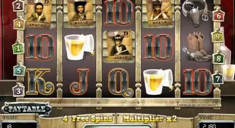 Dead or Alive slot big win